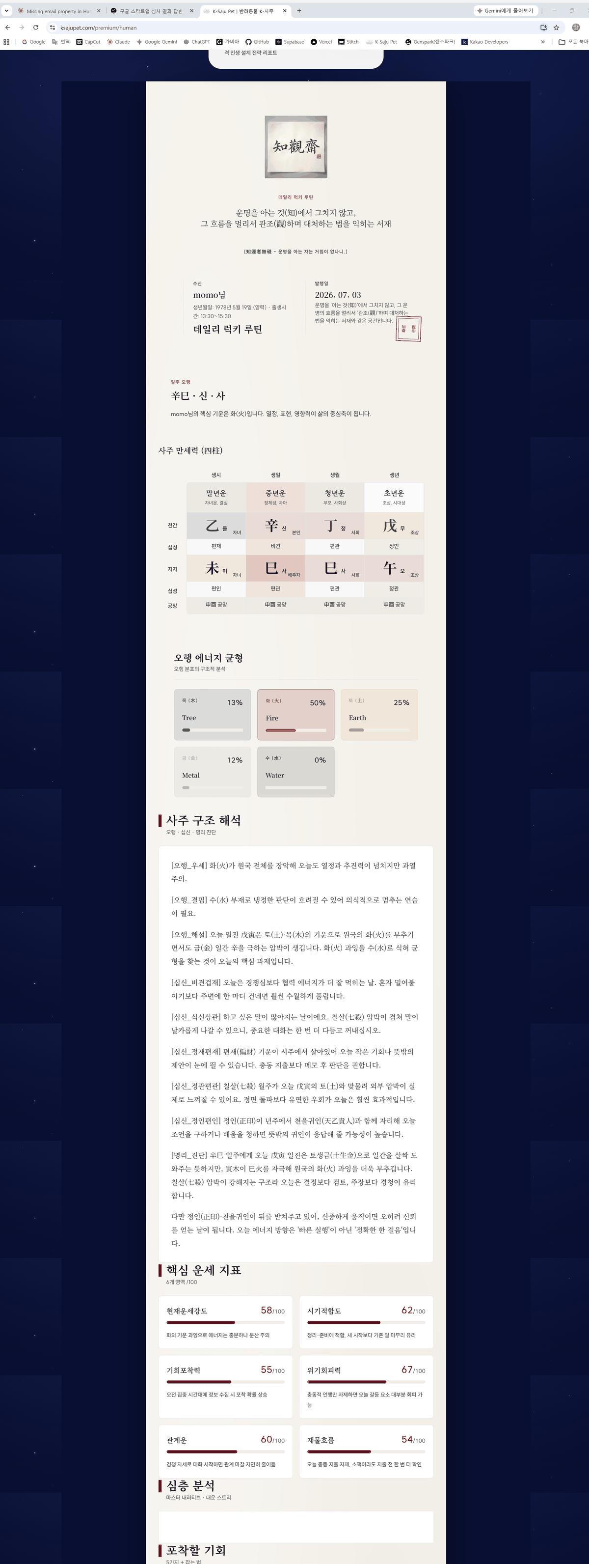 프리미엄 사주 리포트 (유료)